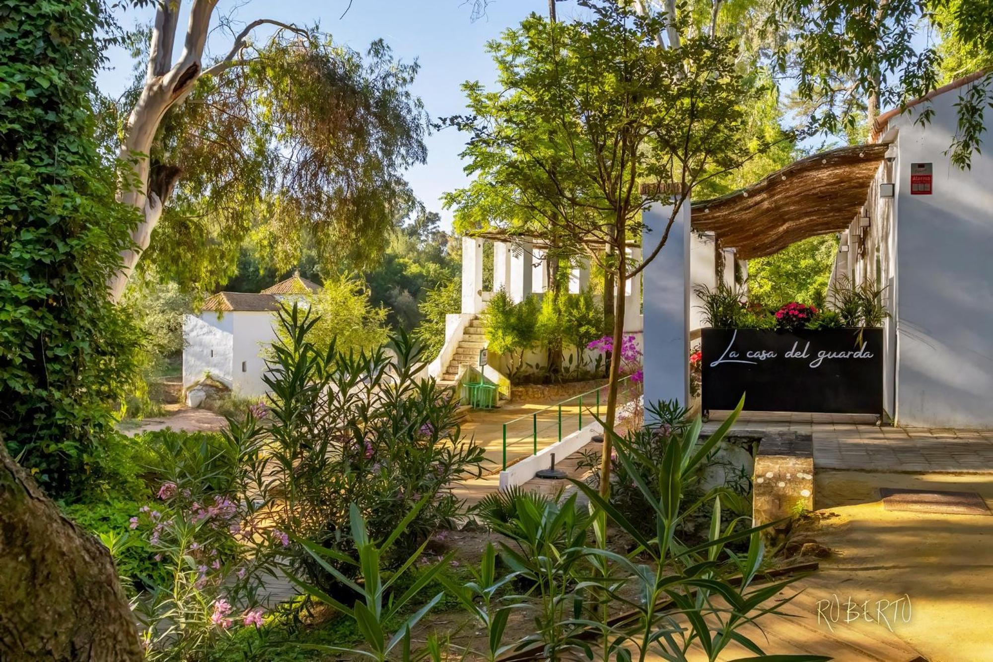 Apartamento Nuevo Centrico Con Aparcamiento Privado Incluido Алькала-де-Гвадаира Экстерьер фото